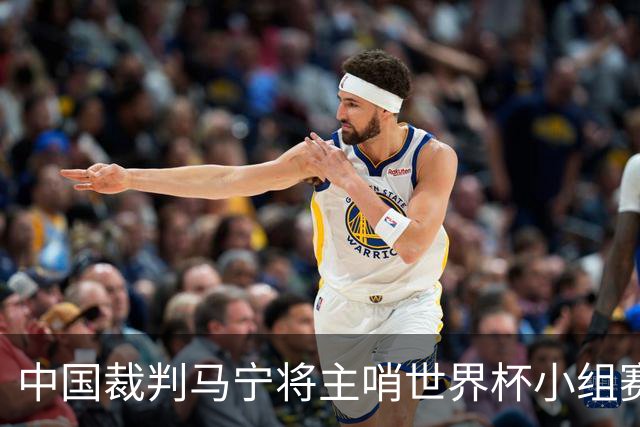 中国裁判马宁将主哨世界杯小组赛第二轮比赛